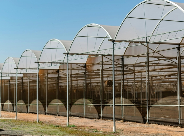 Винтовая свая для теплицы